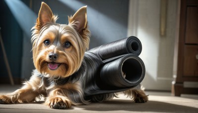 HQ,solo,open mouth,blue eyes,weapon,tongue,indoors,tongue out,blurry,gun,no humans,animal,fangs,cat,dog,realistic,door,animal focus,aiming at viewer,looking at viewer,brown eyes,collar,blurry background,animal collar