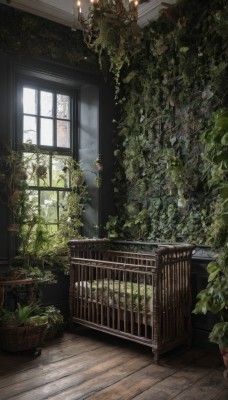 day,indoors,tree,no humans,window,sunlight,plant,scenery,wooden floor,potted plant,candle,vines,overgrown,leaf,stairs,door,candlestand,chandelier