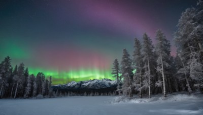 outdoors,sky,tree,no humans,night,star (sky),nature,night sky,scenery,snow,forest,starry sky,mountain,winter,bare tree,landscape,pine tree,aurora,water