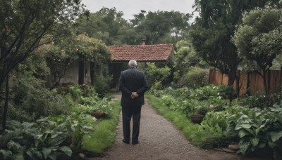 solo,short hair,long sleeves,1boy,standing,jacket,full body,flower,white hair,male focus,outdoors,shoes,day,pants,from behind,black footwear,tree,black jacket,arms behind back,black pants,formal,own hands together,suit,grass,plant,building,nature,scenery,forest,facing away,bush,architecture,house,wide shot,old,east asian architecture,old man,path,holding,sky,leaf,fence,road,wall,black suit