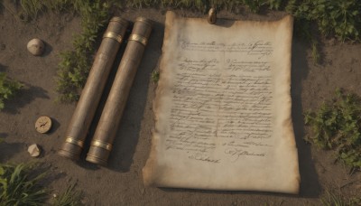 outdoors,day,english text,no humans,shadow,leaf,from above,grass,plant,scenery,paper,map,still life,stone