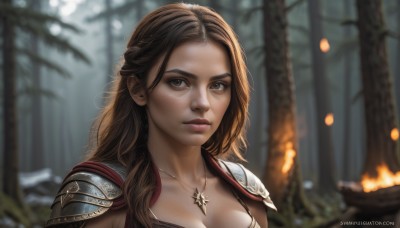 1girl,solo,long hair,breasts,looking at viewer,brown hair,cleavage,brown eyes,jewelry,medium breasts,closed mouth,upper body,braid,outdoors,artist name,necklace,armor,blurry,tree,lips,depth of field,blurry background,watermark,fire,shoulder armor,portrait,nature,web address,forest,pauldrons,realistic,nose,mole