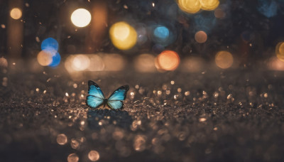 blurry, no humans, night, depth of field, bug, butterfly, scenery, light particles, lens flare, light, bokeh, blue butterfly, city lights