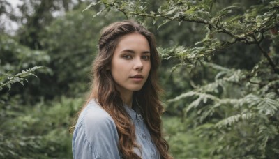 1girl,solo,long hair,looking at viewer,brown hair,shirt,brown eyes,white shirt,upper body,braid,outdoors,parted lips,day,blurry,tree,lips,depth of field,blurry background,wavy hair,nature,freckles,curly hair,realistic,nose,branch,blue eyes,collared shirt,leaf,sunlight,forest