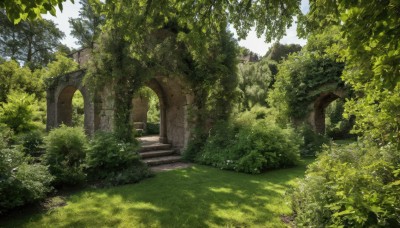 outdoors,sky,day,tree,no humans,sunlight,grass,plant,nature,scenery,forest,stairs,bush,ruins,path,moss,overgrown,blue sky,shade,green theme,arch