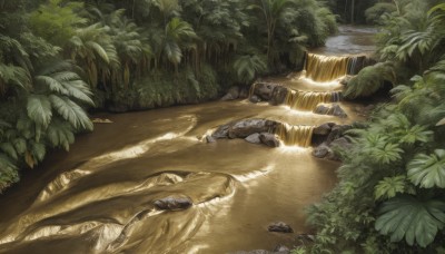 outdoors,day,water,tree,no humans,leaf,sunlight,grass,plant,nature,scenery,forest,rock,bush,river,moss,waterfall,stream