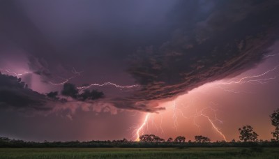 outdoors,sky,cloud,tree,no humans,cloudy sky,grass,nature,scenery,forest,sunset,electricity,lightning,landscape,dark