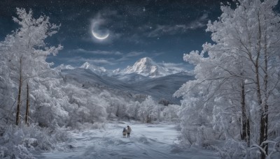 solo,1boy,standing,male focus,outdoors,sky,cloud,bag,tree,night,moon,backpack,star (sky),nature,night sky,scenery,snow,forest,starry sky,mountain,crescent moon,winter,bare tree,landscape,footprints,pine tree,1girl,hat,from behind,coat,wide shot,mountainous horizon