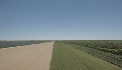 outdoors,sky,day,tree,blue sky,no humans,bird,grass,nature,scenery,mountain,sand,road,field,landscape,hill,forest,horizon,bush,path