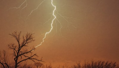 monochrome,outdoors,sky,cloud,tree,gradient,no humans,traditional media,cloudy sky,grass,nature,scenery,electricity,bare tree,lightning,forest,horizon