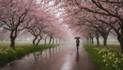 1girl, solo, skirt, holding, standing, flower, outdoors, day, bag, from behind, tree, umbrella, grass, cherry blossoms, scenery, walking, holding umbrella, road, wide shot, path