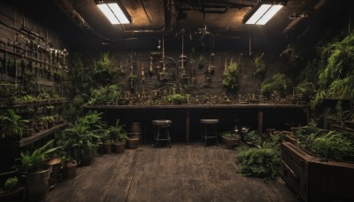 indoors,no humans,window,table,sunlight,bottle,plant,scenery,wooden floor,potted plant,stool,shelf,ceiling,ceiling light,chandelier,chair,light,lamp,dark,bar (place),overgrown