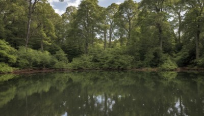 outdoors,sky,day,cloud,water,tree,blue sky,no humans,bird,cloudy sky,grass,nature,scenery,forest,reflection,landscape,plant,lake,reflective water