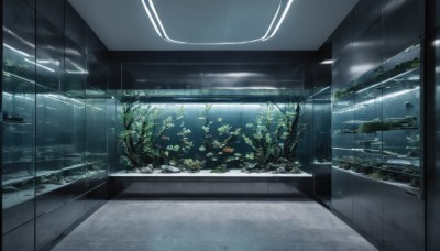 outdoors,sky,cloud,indoors,water,tree,no humans,window,cloudy sky,plant,scenery,reflection,rain,fish,light rays,underwater,tiles,light,tile floor,ruins,ceiling,coral,aquarium