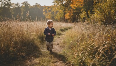 solo,short hair,blonde hair,brown hair,shirt,long sleeves,1boy,closed mouth,standing,full body,closed eyes,male focus,boots,outdoors,day,collared shirt,pants,blurry,tree,depth of field,brown footwear,grass,blue shirt,child,nature,scenery,walking,male child,grey pants,field,wide shot,holding,flower,sweater,from above,own hands together