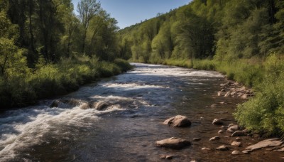 outdoors,sky,day,water,tree,blue sky,no humans,grass,nature,scenery,forest,rock,bush,river,landscape,stream,ocean,shore