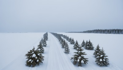 monochrome,outdoors,sky,tree,no humans,nature,scenery,snow,forest,blue theme,snowing,mountain,winter,bare tree,landscape,pine tree,day,fog