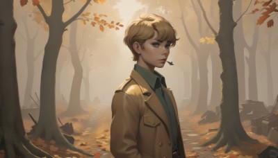 solo,looking at viewer,short hair,bangs,blue eyes,blonde hair,shirt,long sleeves,1boy,closed mouth,standing,jacket,upper body,male focus,outdoors,open clothes,day,collared shirt,belt,tree,lips,coat,buttons,leaf,sunlight,nature,forest,freckles,brown jacket,nose,autumn leaves,brown coat,autumn,falling leaves,brown hair,from side,open jacket,thick eyebrows,wing collar,hands in pockets,green shirt