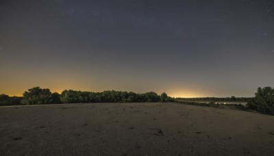 outdoors,sky,tree,no humans,night,grass,star (sky),nature,night sky,scenery,forest,starry sky,sunset,sand,road,gradient sky,horizon