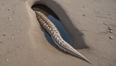 solo,outdoors,no humans,shadow,feathers,rock,sand,close-up