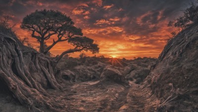 weapon,outdoors,sky,sword,cloud,tree,no humans,cloudy sky,grass,nature,scenery,forest,sunset,mountain,sun,bare tree,landscape,orange sky,orange theme,red sky,sunlight,plant