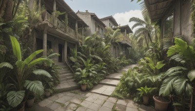 outdoors,sky,day,cloud,tree,blue sky,no humans,window,sunlight,plant,building,scenery,stairs,door,potted plant,road,house,bird,leaf,bush,architecture