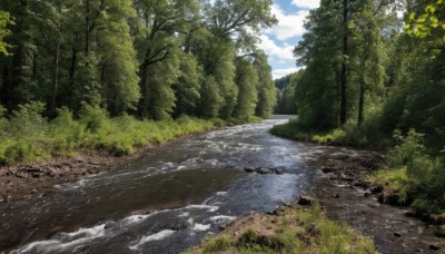 outdoors,sky,day,cloud,water,tree,blue sky,no humans,cloudy sky,grass,nature,scenery,forest,rock,road,bush,river,landscape,path,stream