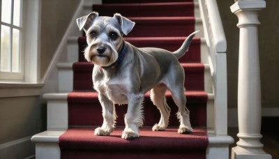 HQ,solo,looking at viewer,blue eyes,tail,full body,day,indoors,collar,no humans,window,animal,dog,stairs,realistic,animal focus,red collar,animal collar,standing,chair,sunlight,couch,light rays,pillar,armchair