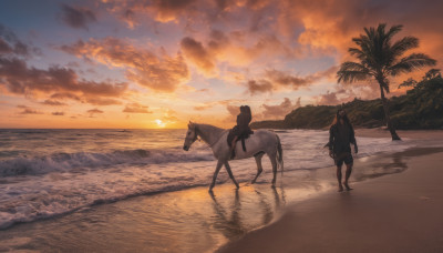 solo, 1boy, male focus, outdoors, sky, cloud, water, tree, ocean, beach, cloudy sky, scenery, sunset, sand, palm tree, horse