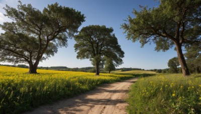 flower,outdoors,sky,day,cloud,tree,blue sky,no humans,shadow,grass,nature,scenery,forest,yellow flower,road,field,path,plant,bush,landscape