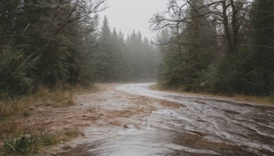 outdoors,sky,day,tree,no humans,sunlight,grass,plant,nature,scenery,forest,road,bare tree,landscape,fog,path,cloud,water,snow,realistic,sand,river,shore