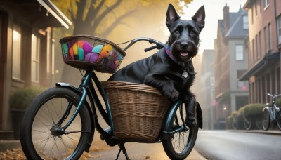 HQ,open mouth,outdoors,day,tongue,tongue out,blurry,collar,tree,no humans,blurry background,animal,ground vehicle,building,motor vehicle,dog,city,realistic,basket,road,riding,house,animal focus,street,bicycle,bicycle basket,solo,looking at viewer,window,sunlight,lamppost,animal collar