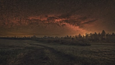 outdoors,sky,cloud,tree,no humans,night,grass,ground vehicle,star (sky),nature,night sky,scenery,forest,starry sky,sunset,road,field,cloudy sky,landscape