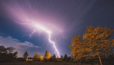 outdoors,sky,cloud,tree,no humans,night,sunlight,cloudy sky,grass,nature,scenery,forest,electricity,lightning,night sky,landscape