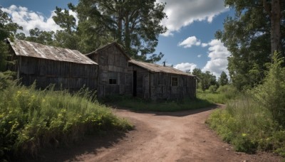 outdoors,sky,day,cloud,tree,blue sky,no humans,window,cloudy sky,grass,plant,building,nature,scenery,forest,door,road,bush,house,path