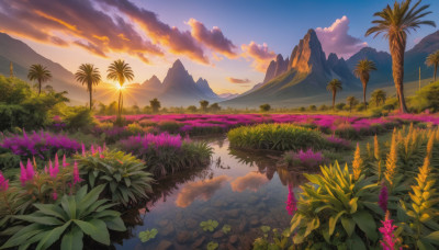 flower, outdoors, sky, cloud, water, tree, no humans, cloudy sky, grass, plant, nature, scenery, reflection, sunset, mountain, sun, landscape, mountainous horizon, lake