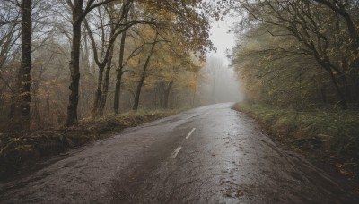 outdoors,sky,day,tree,no humans,sunlight,grass,building,nature,scenery,forest,road,autumn leaves,bare tree,street,path,leaf,realistic,bush,autumn,landscape