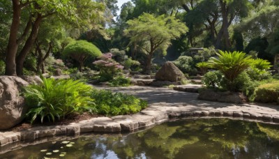 outdoors,day,water,tree,no humans,sunlight,grass,plant,nature,scenery,forest,rock,road,bush,bridge,river,moss,stream,signature,reflection,pond