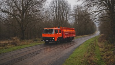 outdoors,day,tree,no humans,grass,ground vehicle,nature,scenery,motor vehicle,forest,car,road,vehicle focus,bare tree,truck,sky,realistic,landscape