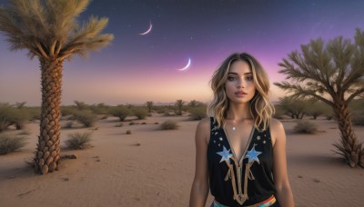 1girl,solo,long hair,breasts,looking at viewer,blonde hair,brown hair,black hair,cleavage,bare shoulders,brown eyes,collarbone,upper body,multicolored hair,outdoors,sky,sleeveless,dark skin,star (symbol),dark-skinned female,tree,lips,night,moon,star (sky),night sky,starry sky,realistic,palm tree,star print,crescent moon,desert,dress,medium breasts,wavy hair,grass