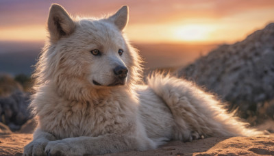 solo, closed mouth, outdoors, sky, signature, blurry, pokemon (creature), no humans, blurry background, animal, sunset, dog, realistic, sun, animal focus