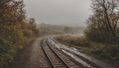 outdoors,sky,day,cloud,tree,no humans,cloudy sky,grass,ground vehicle,nature,scenery,forest,mountain,road,bare tree,landscape,grey sky,path,railroad tracks,realistic,bush,field,autumn,overcast