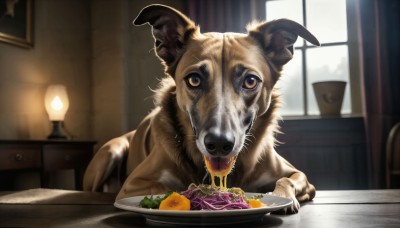 HQ,looking at viewer,food,indoors,blurry,no humans,window,depth of field,blurry background,animal,chair,eating,table,curtains,plate,bowl,dog,realistic,fork,lamp,animal focus,meat,food focus,painting (object),horror (theme),salad,solo,holding,brown eyes,sitting,tongue,tongue out,carrot