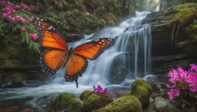 flower, outdoors, wings, day, water, tree, no humans, bug, butterfly, nature, scenery, forest, rock, river, waterfall, moss