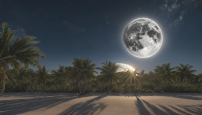 outdoors,sky,cloud,tree,no humans,night,shadow,beach,moon,star (sky),night sky,scenery,starry sky,sand,palm tree,space,planet,earth (planet),desert,plant,nature,full moon,forest