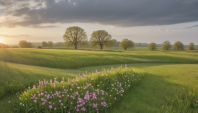 flower,outdoors,sky,day,cloud,tree,blue sky,no humans,sunlight,cloudy sky,grass,nature,scenery,sunset,mountain,purple flower,sun,field,landscape,plant,forest,horizon,bush,flower field