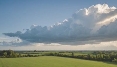 outdoors,sky,day,cloud,tree,blue sky,no humans,cloudy sky,grass,nature,scenery,forest,field,landscape,hill,horizon