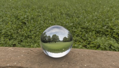 outdoors,sky,day,tree,no humans,leaf,grass,plant,nature,scenery,forest,reflection,bowl,bush,green theme,cloud,blue sky,shadow,road