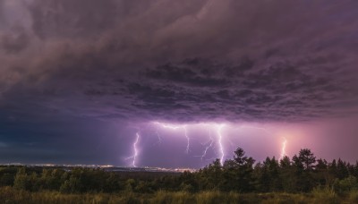 outdoors,sky,cloud,tree,no humans,cloudy sky,grass,nature,scenery,forest,electricity,lightning,landscape,purple sky,night,night sky,horizon,dark