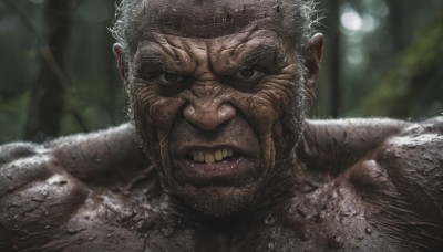 solo,looking at viewer,1boy,male focus,teeth,blurry,black eyes,wet,blurry background,headband,facial hair,clenched teeth,portrait,beard,realistic,bald,manly,old,old man,wrinkled skin,scar,nature,close-up,forest,veins